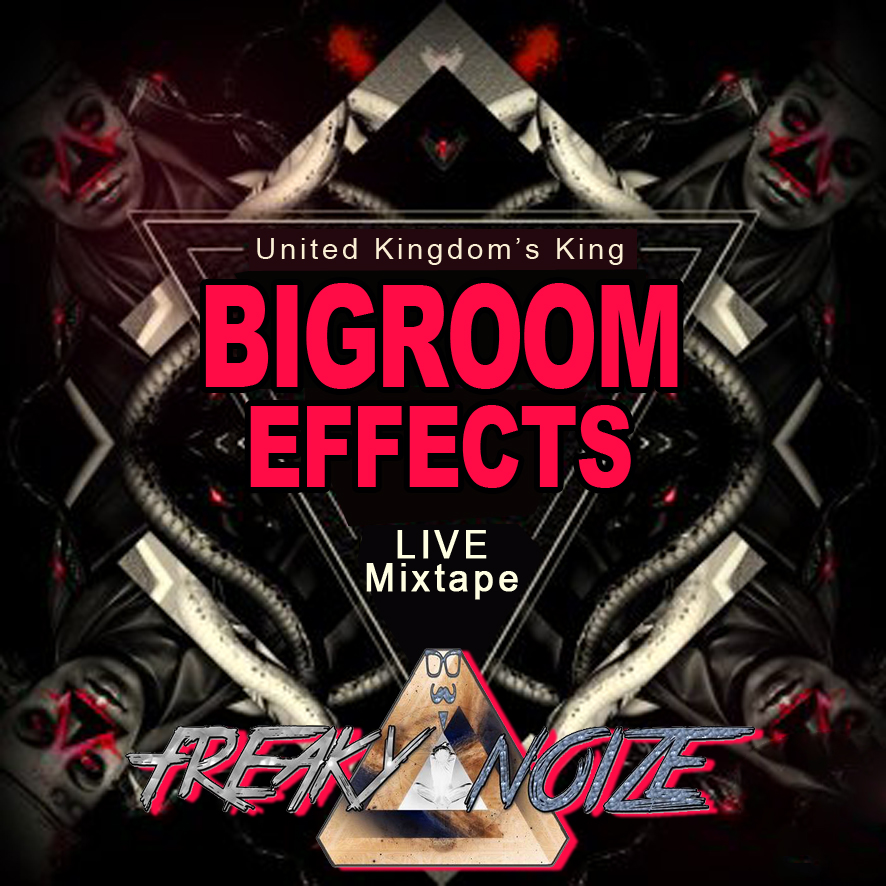 bigroom effects cover.jpg